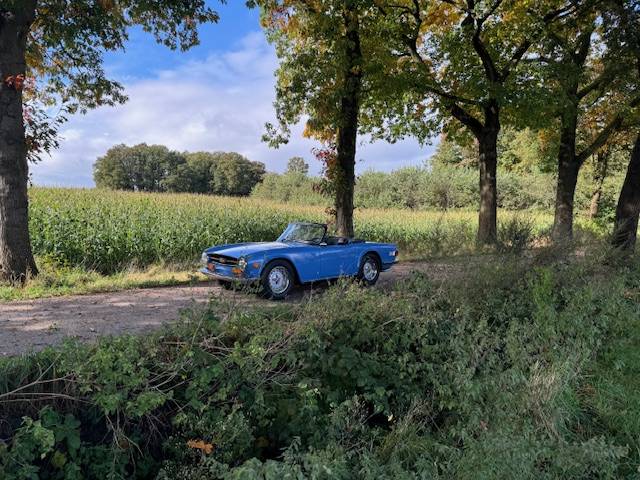 Triumph Tr6 Roadster