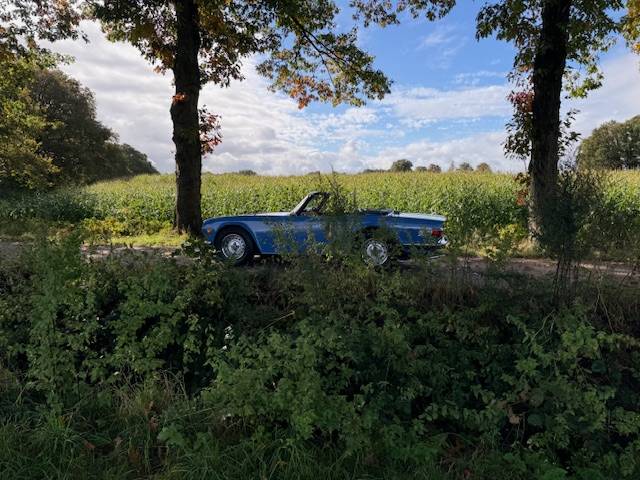 Triumph Tr6 Roadster