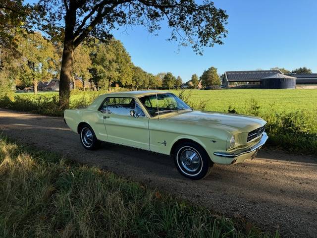 Ford Mustang Hardtop Coupe 289cui V8