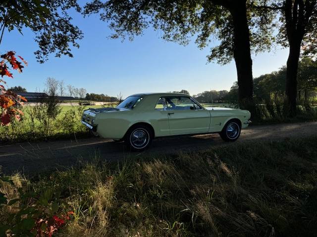 Ford Mustang Hardtop Coupe 289cui V8