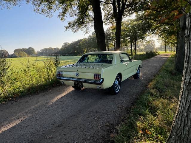 Ford Mustang Hardtop Coupe 289cui V8