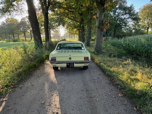 Ford Mustang Hardtop Coupe 289cui V8