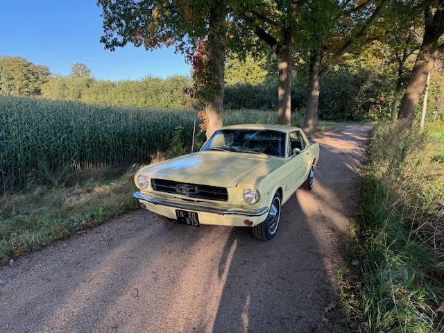 Ford Mustang Hardtop Coupe 289cui V8