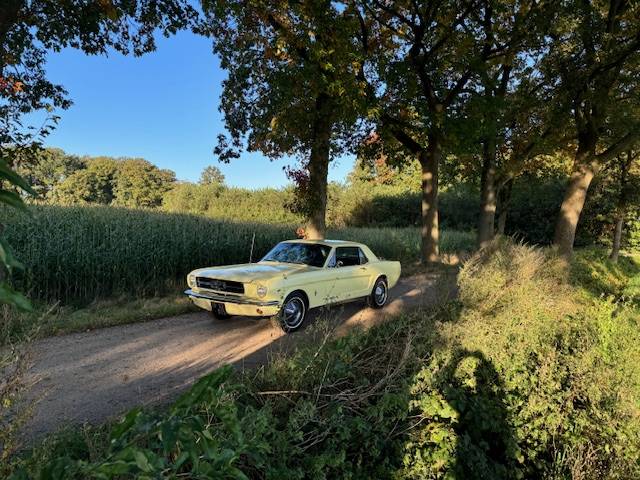 Ford Mustang Hardtop Coupe 289cui V8