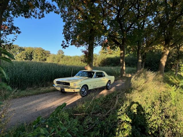 Ford Mustang Hardtop Coupe 289cui V8