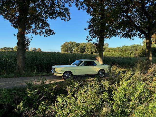 Ford Mustang Hardtop Coupe 289cui V8