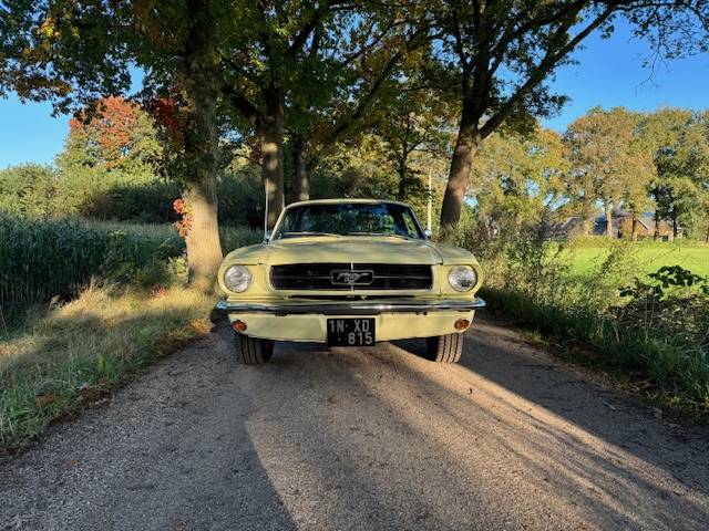 Ford Mustang Hardtop Coupe 289cui V8