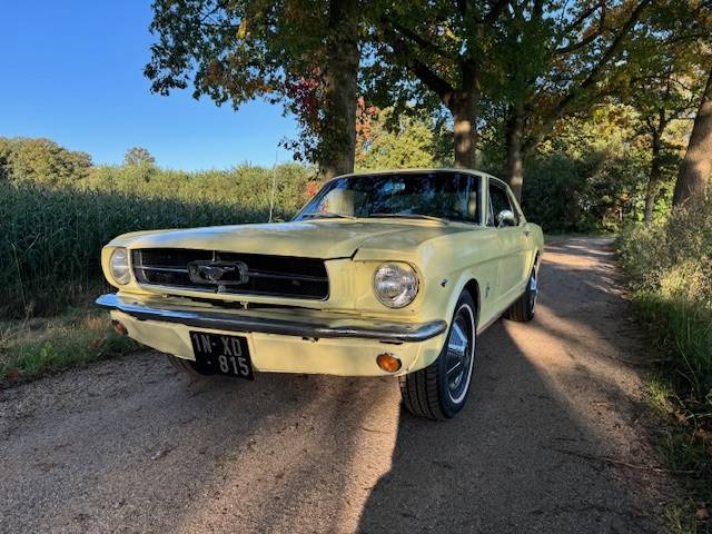 Ford Mustang Hardtop Coupe 289cui V8