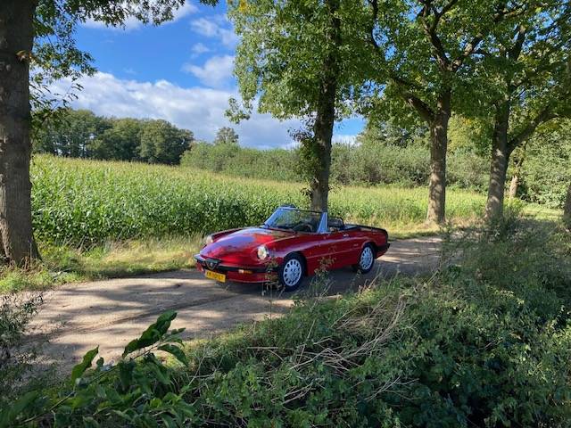 Alfa-Romeo Spider QV