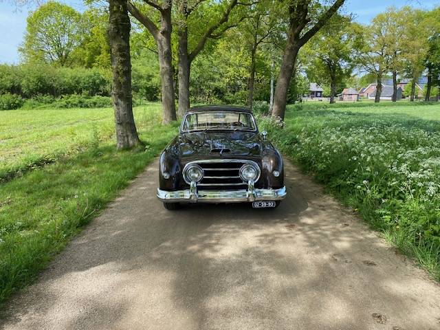 Nash Healey LeMans Coupe Pininfarina 1954