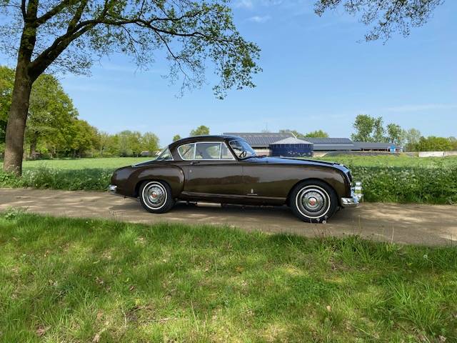 Nash Healey LeMans Coupe Pininfarina 1954